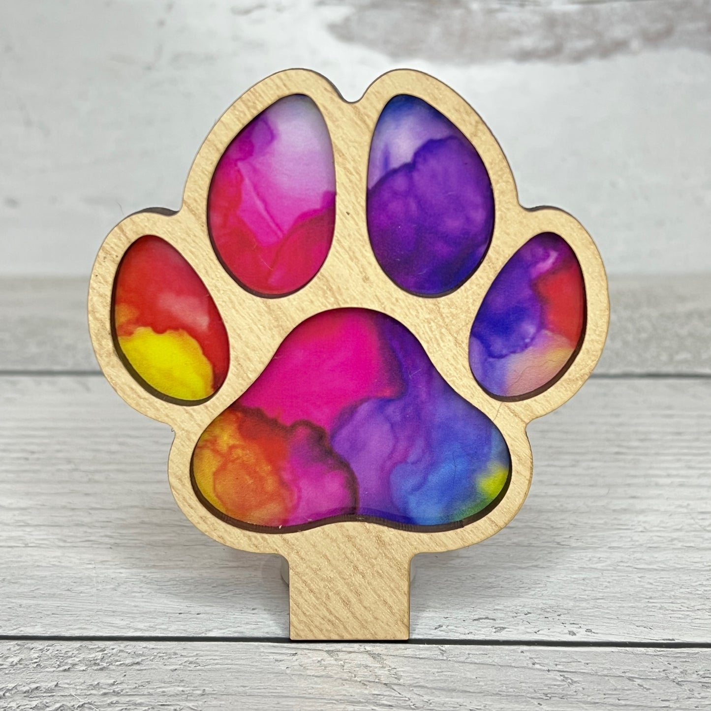 Rainbow Paw - Handcrafted Night Light