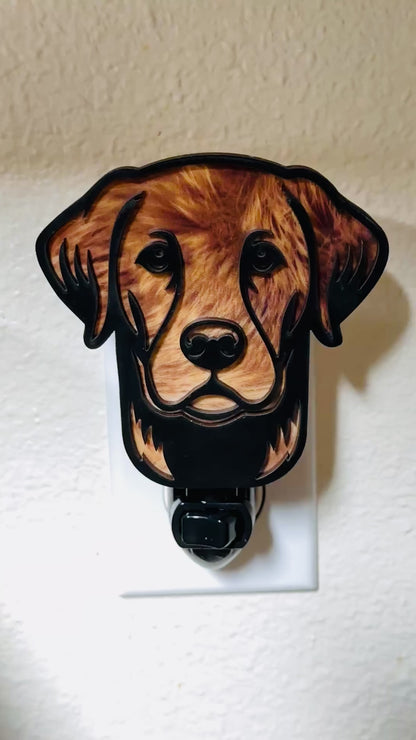 Golden Retriever - Labrador - Handcrafted Night Light